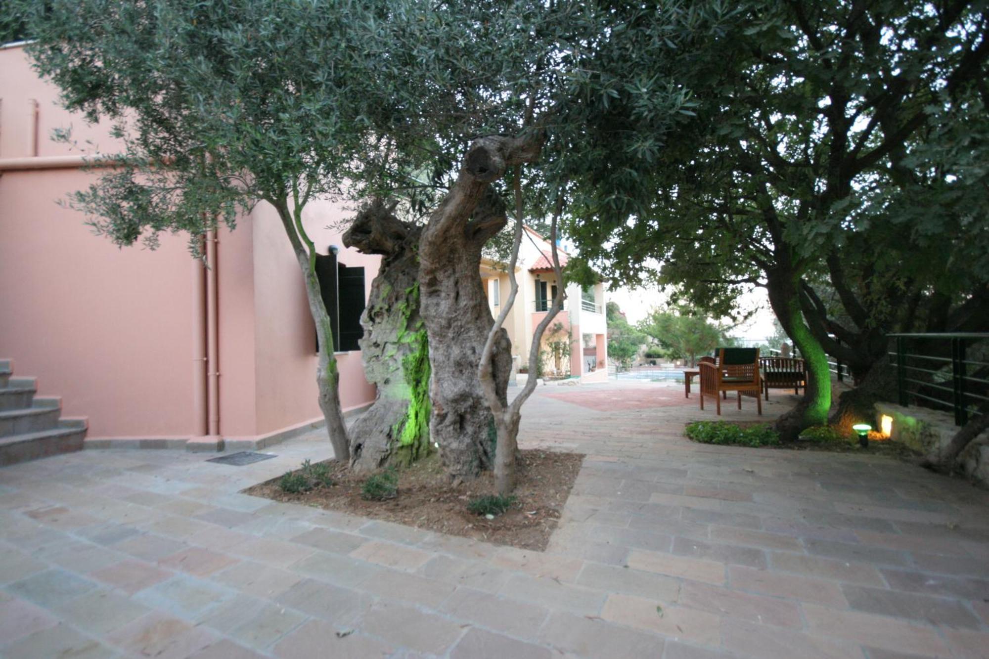 Kastellos Traditional Houses Exterior photo